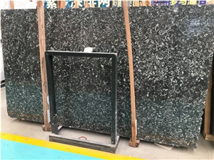 Whosale Black Fossil Marble Slab Tile Price