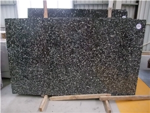 Whosale Black Fossil Marble Slab Tile Price