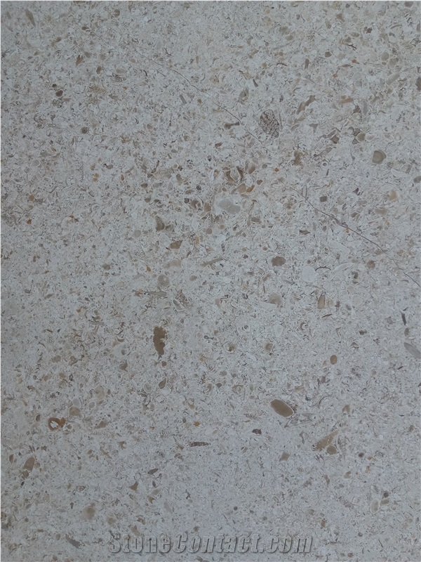 Fatima Clair - Moca Fatima Limestone Slabs