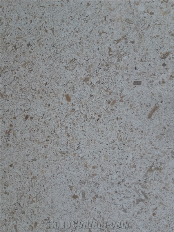 Fatima Clair - Moca Fatima Limestone Slabs