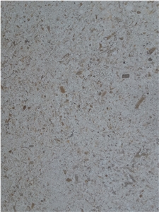 Fatima Clair - Moca Fatima Limestone Slabs