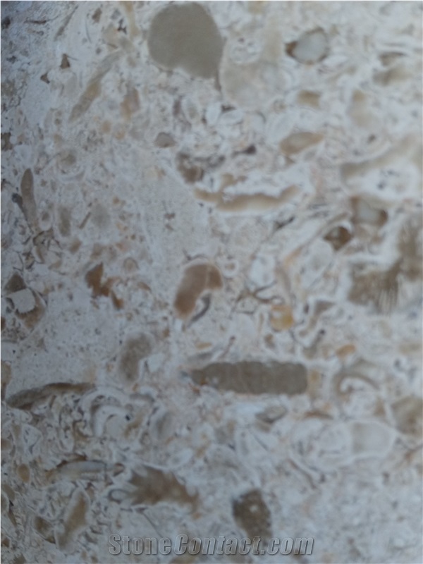 Fatima Clair - Moca Fatima Limestone Slabs