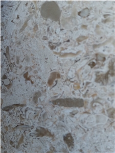 Fatima Clair - Moca Fatima Limestone Slabs
