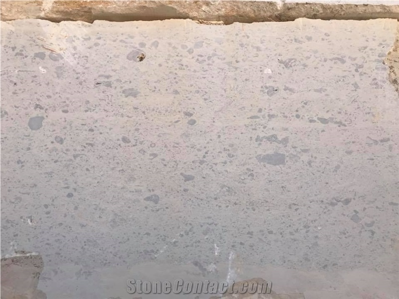 Moca Creme Fossilina Blocks