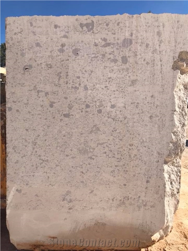 Moca Creme Fossilina Blocks