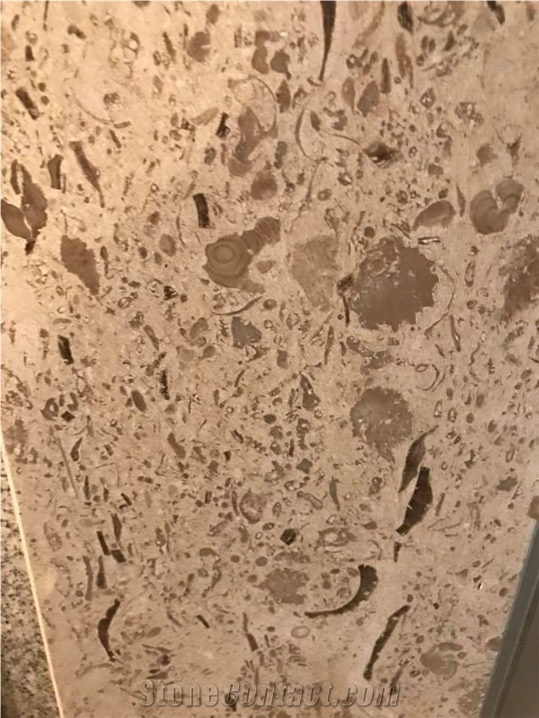 Moca Creme Fossilina Blocks