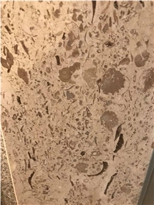 Moca Creme Fossilina Blocks