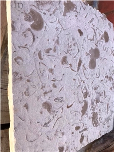 Moca Creme Fossilina Blocks