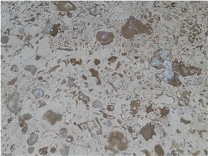 Moca Creme Fossilina Limestone Tiles, Slabs