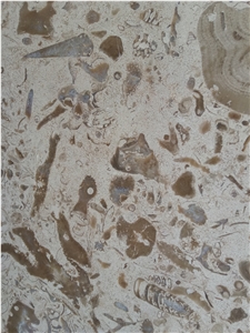 Moca Creme Fossilina Limestone Tiles, Slabs