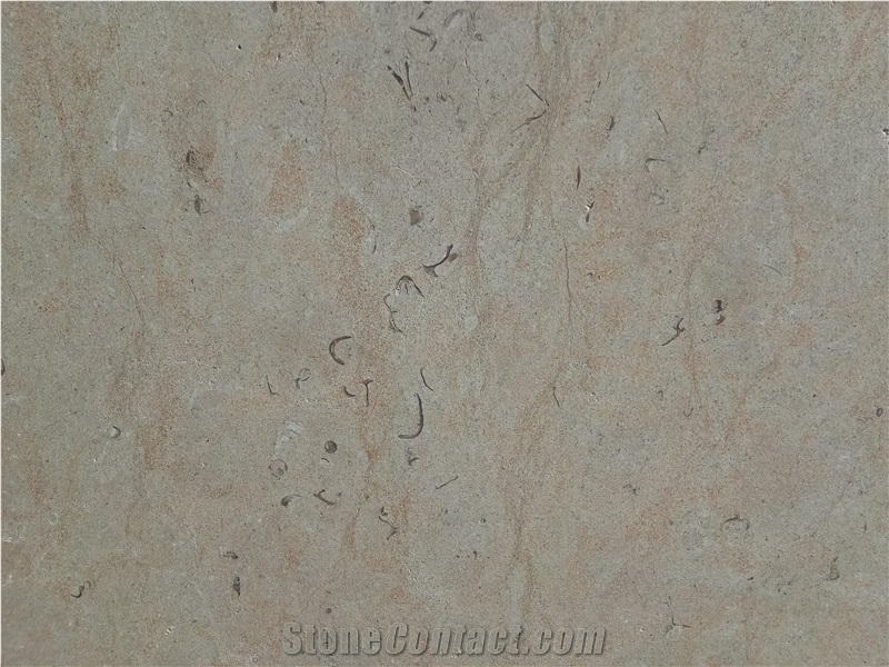 Cream Cobal Limestone Cross Cut Polished