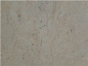 Cream Cobal Limestone Cross Cut Polished