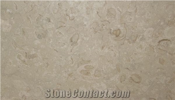 Crema Habitat Fossile Shellstone Pool Deck