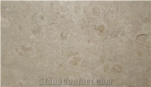 Crema Habitat Fossile Shellstone Pool Deck