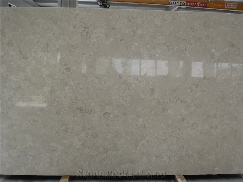 Crema Habitat Fossile Shellstone Pool Deck