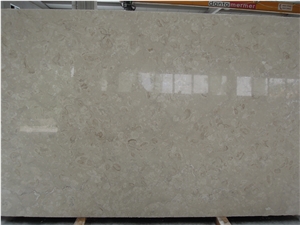 Crema Habitat Fossile Shellstone Pool Deck