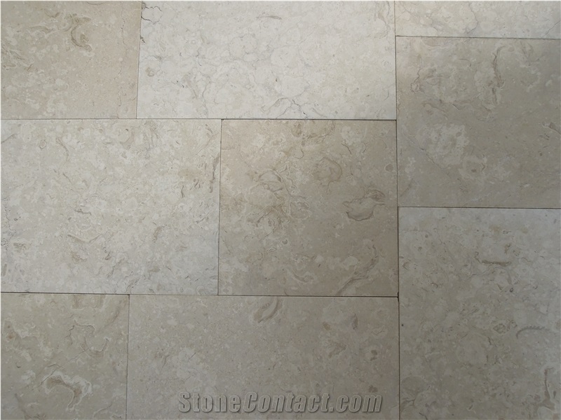 Crema Habitat Fossile Shellstone Pool Deck