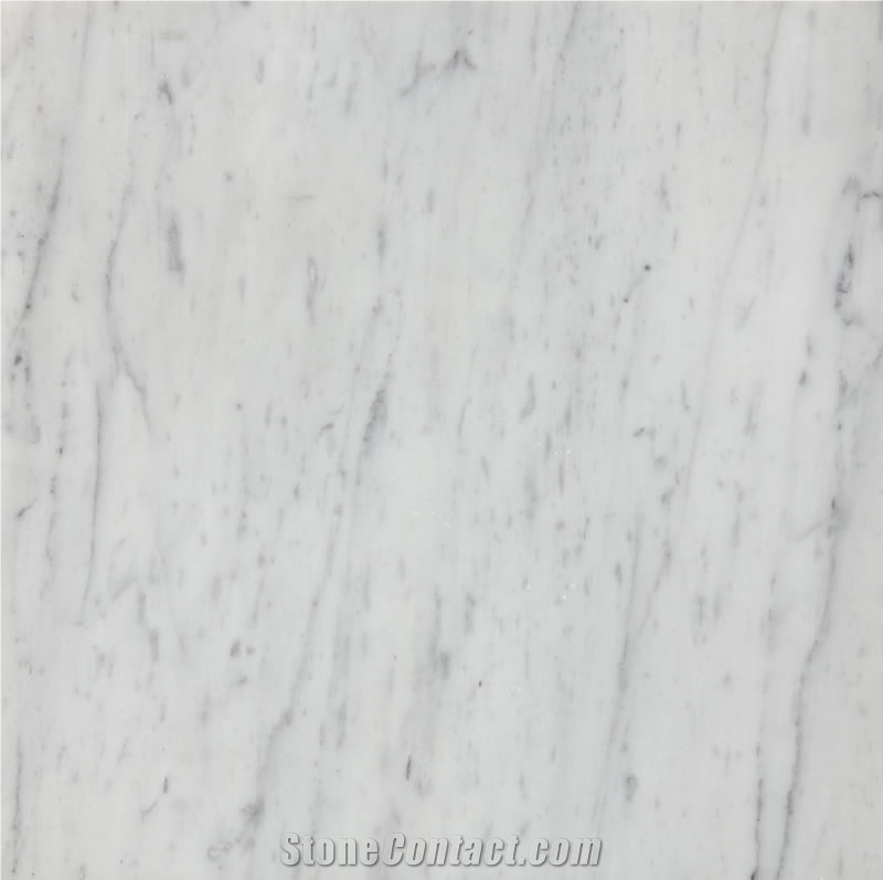 Statuarietto Venato Marble,Bianco Venatino Slabs