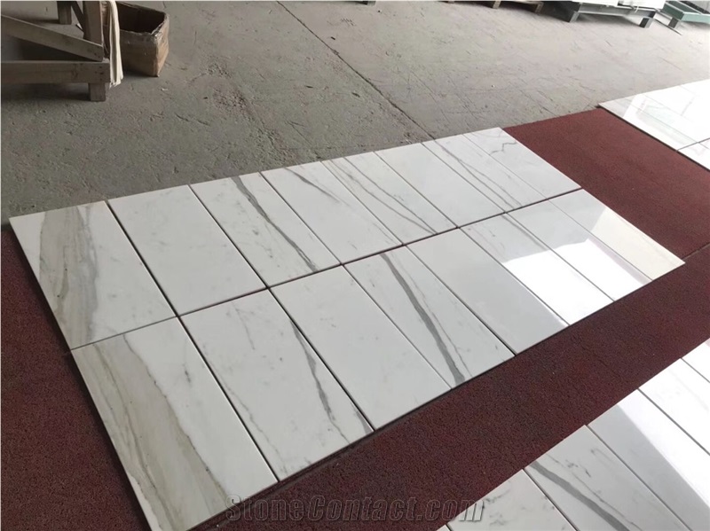 White Marble Floor Calcatta White Status White