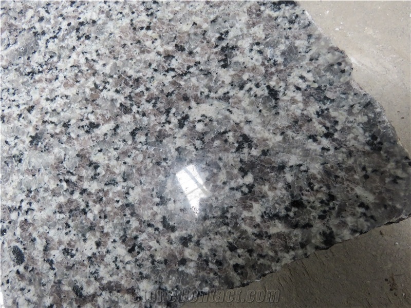 Grey Granite Slab&Tile Flooring Tombstone Monument