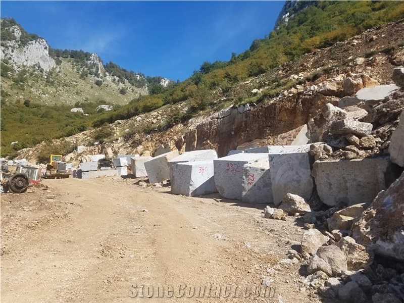 Albania Conglomerate Blocks