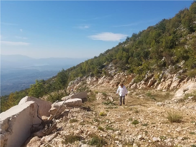 Conglomerate Blocks