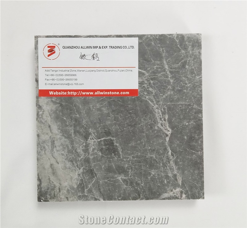 Silver Mink Marble Gray China