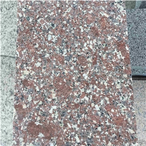 New G664 Red Granite, Own Quarry- 5 Years