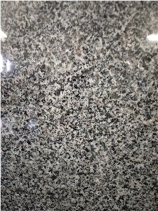 New G654 Granite New Panda Dark Granite