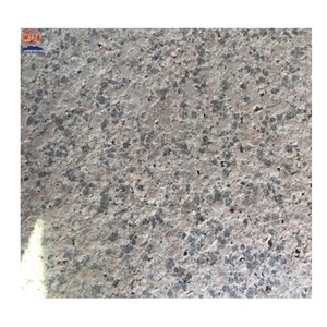 China Desert Brown Granite Tiles 600x600