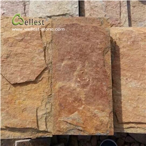Qt25 Rusty Brown Yellow Quartzite Mushroom Stone