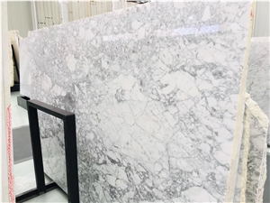 Bianco Statuarietto Vena Marble Big Slabs