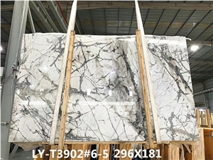 Brazil Invisible Grey White Marble Slab Wall Tile