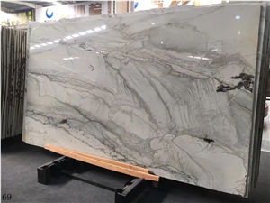 Calacatta Apuano Marble Brazil Quarry Stone Slab