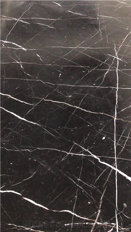 China Black Tulip Marble Golden Portoro Slab Floor
