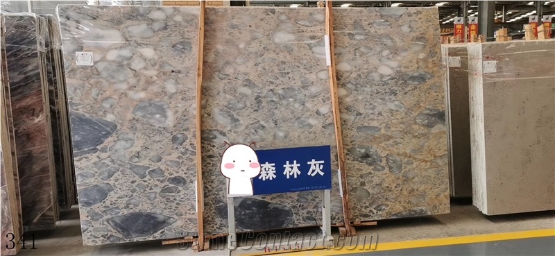 Forest Gray Marble Tiger Skin Gray Ash Slab Floor