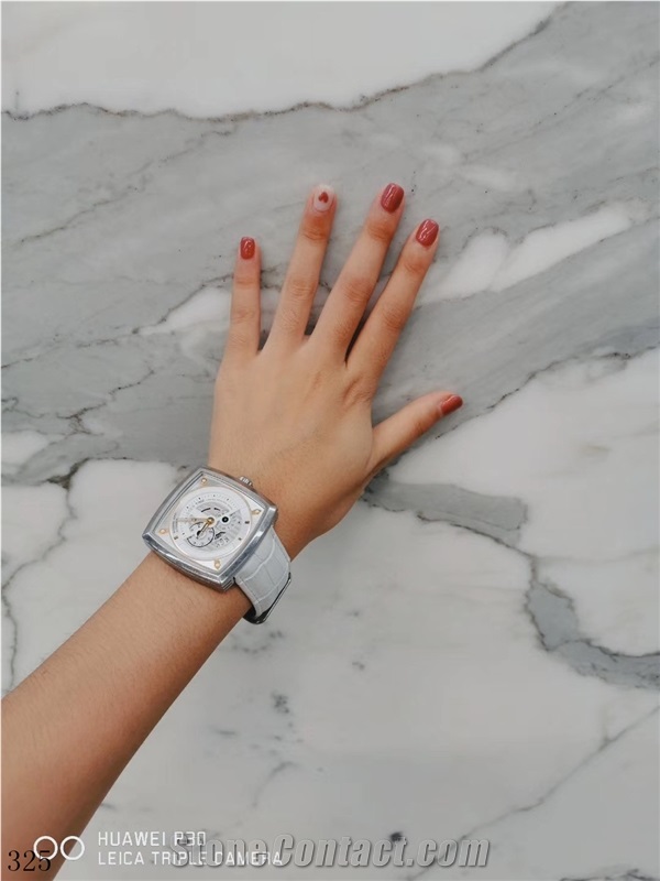 Italy Calacatta Luxury Marble Bianco Fish Belly White Slab