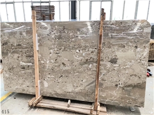 Kasiki Grey Marble Fossil Gray Stone Slab Wall