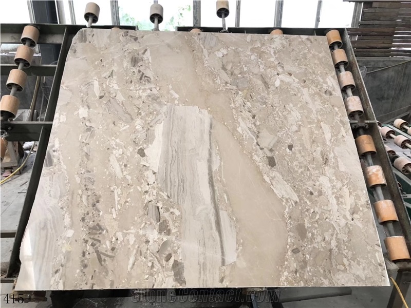 Kasiki Grey Marble Fossil Gray Stone Slab Wall