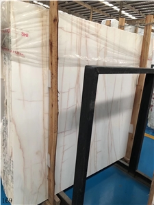 Marmara Dolomite Marble Golden Spider in China