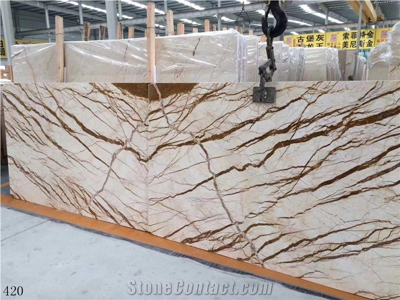 Rich Gold Marble Dragon Sofitel Crema Evita Slab