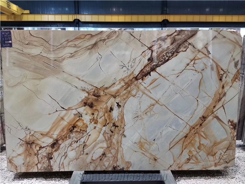 Roma Imperiale Quartzite Brazil Gold Slabs For Wall Cladding