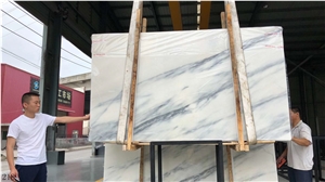 Royal Danby White Marble Slab