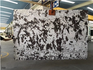 Silver Fox Granite Aran White Granite Bianco Slab