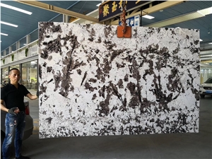 Silver Fox Granite Aran White Granite Bianco Slab