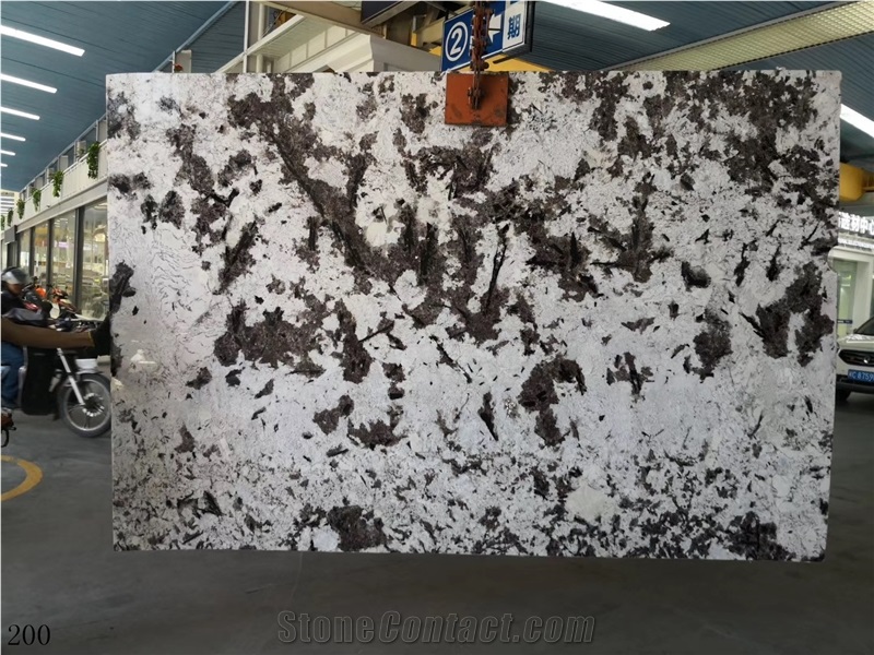 Silver Fox Granite Aran White Granite Bianco Slab