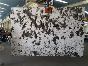Silver Fox Granite Aran White Granite Bianco Slab