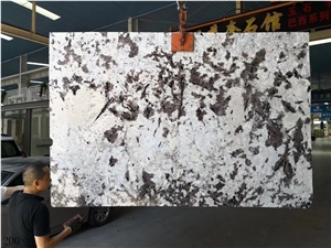Silver Fox Granite Aran White Granite Bianco Slab