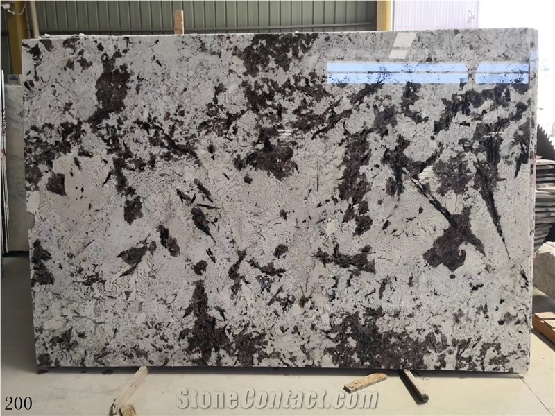 Silver Fox Granite Aran White Granite Bianco Slab
