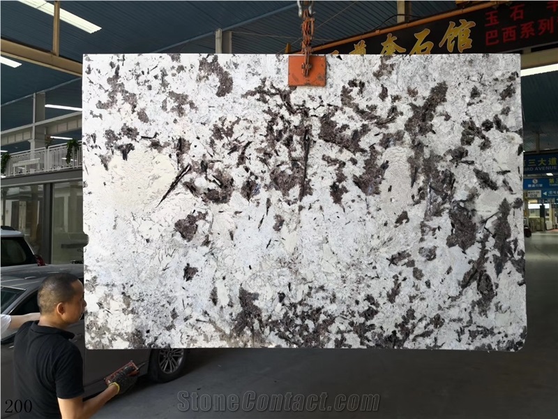 Silver Fox Granite Bianco Antico Aran White Slab